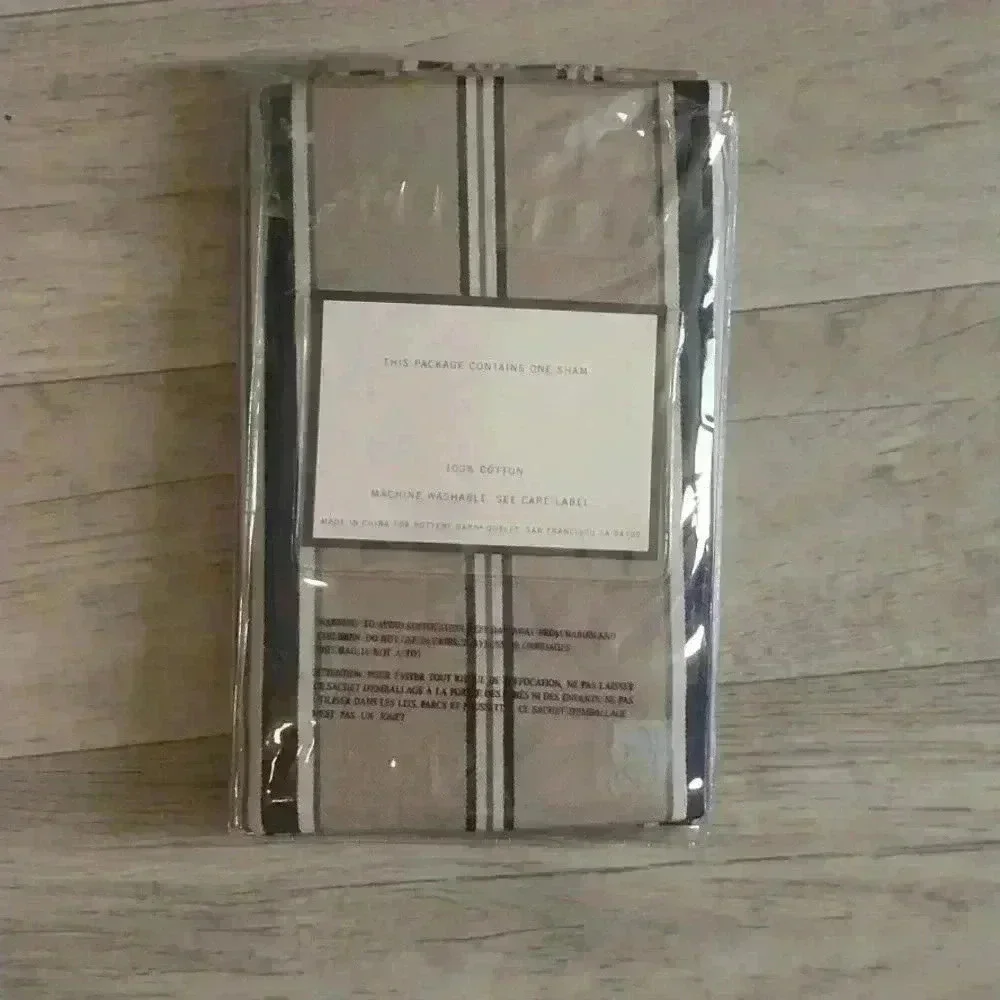 Pottery Barn Celeste Stripe Standard Sham (1)